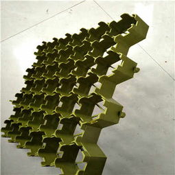 清遠塑料植草格廠家 以專業(yè)品質，助力綠色生態(tài)建設